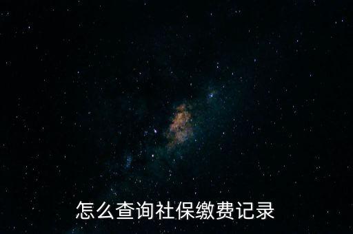 如何在地稅網(wǎng)繳納社保查詢，單位交了社保費在地稅網(wǎng)怎么查詢