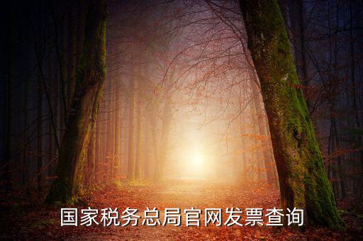 江蘇國稅如何查詢發(fā)票，江蘇發(fā)票真?zhèn)尾樵內(nèi)绾尾樵兘K發(fā)票真?zhèn)尾樵內(nèi)绾尾樵冏钪匾氖沁M(jìn)