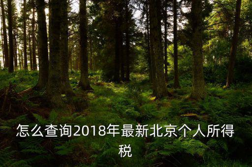 北京如何查詢個(gè)稅完稅證明，怎么查詢2018年最新北京個(gè)人所得稅