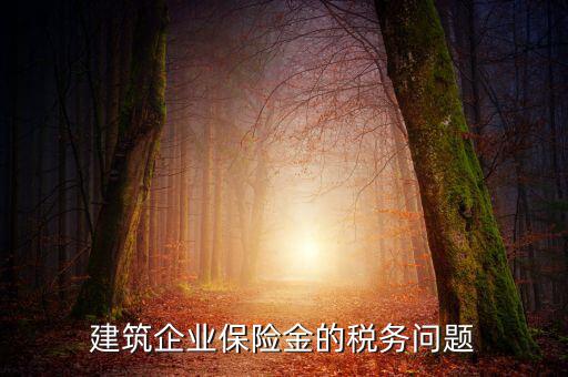 保險公司稅務(wù)管理如何處理，建筑企業(yè)保險金的稅務(wù)問題