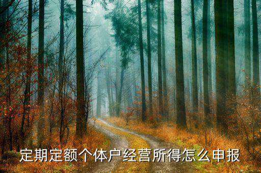 定期定額納稅人如何網(wǎng)上申報，稅務(wù)申報如何網(wǎng)上申報