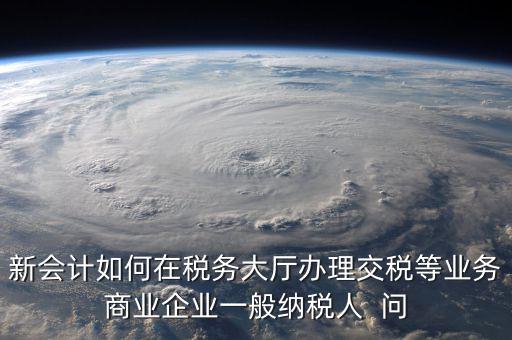 新會計如何在稅務大廳辦理交稅等業(yè)務商業(yè)企業(yè)一般納稅人  問