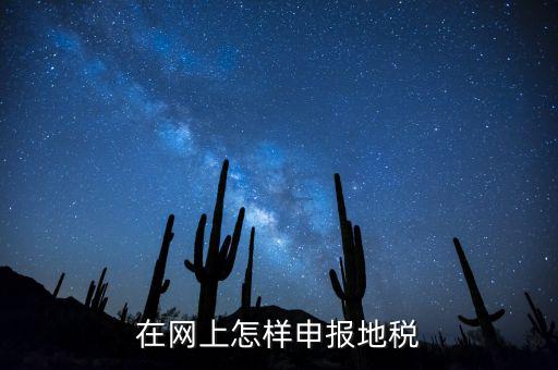 在網(wǎng)上怎樣申報地稅