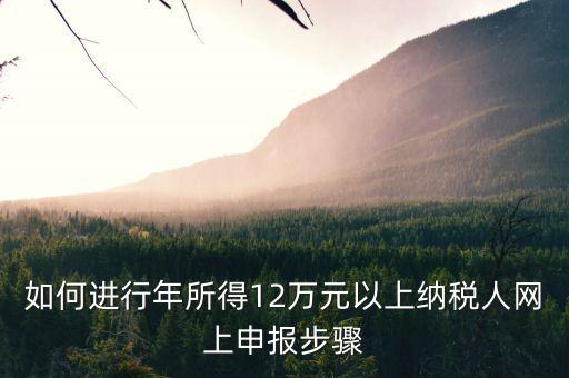 如何進行年所得12萬元以上納稅人網(wǎng)上申報步驟