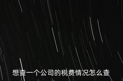 如何查詢公司納稅記錄查詢，想查一個(gè)公司的稅費(fèi)情況怎么查