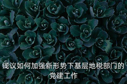 淺議如何加強新形勢下基層地稅部門的黨建工作