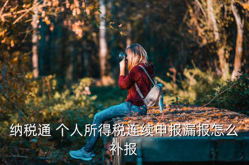 源泉扣繳如何補申報，個人所得稅代扣代繳系統(tǒng) 補申報怎樣操作