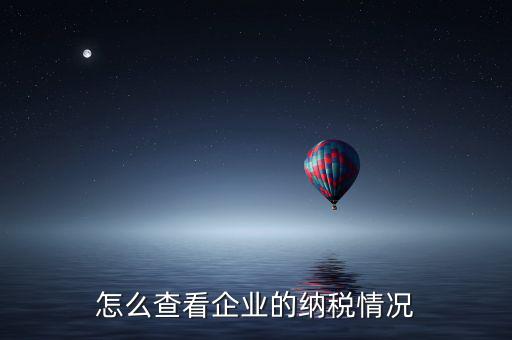 怎么查看企業(yè)的納稅情況