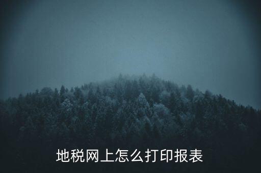 地稅網(wǎng)上怎么打印報表