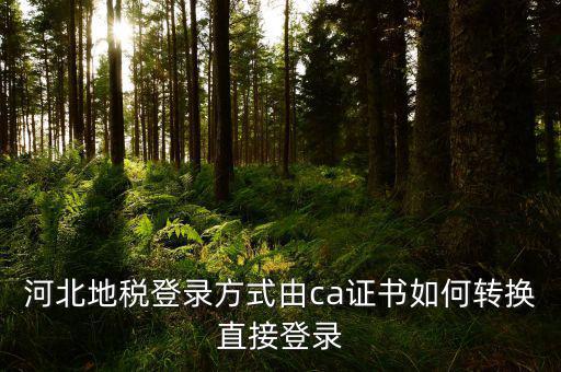 河北地稅登錄方式由ca證書(shū)如何轉(zhuǎn)換直接登錄