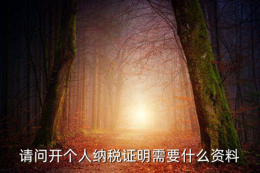 請(qǐng)問開個(gè)人納稅證明需要什么資料