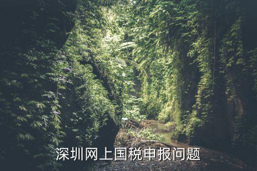 深圳網(wǎng)上國稅申報問題