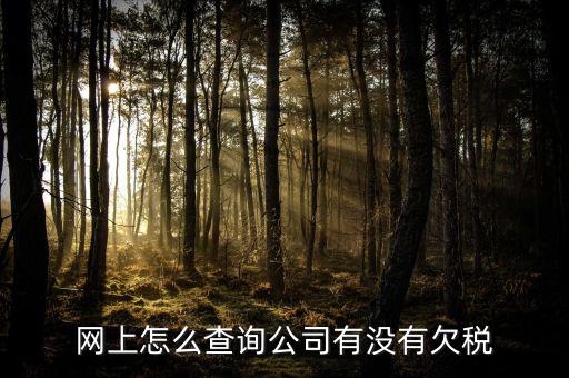 網上怎么查詢公司有沒有欠稅