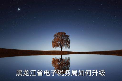 如何升級國稅系統(tǒng)，河南省電子稅務(wù)局版本過低怎么升級