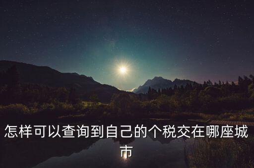 如何查詢個(gè)人所得稅所交地點(diǎn)，怎樣可以查詢到自己的個(gè)稅交在哪座城市