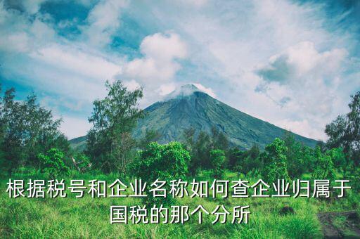 如何查詢企業(yè)所屬國稅分局，根據(jù)稅號和企業(yè)名稱如何查企業(yè)歸屬于國稅的那個分所