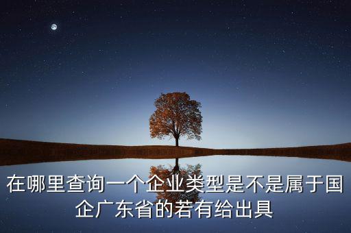 單位類型如何查詢，如何查詢企業(yè)管理類別