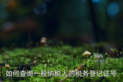 如何查詢一般納稅人的稅務(wù)登記證號(hào)