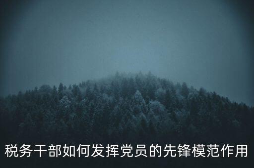 稅收征管改革黨員如何發(fā)揮作用，稅務干部如何發(fā)揮黨員的先鋒模范作用