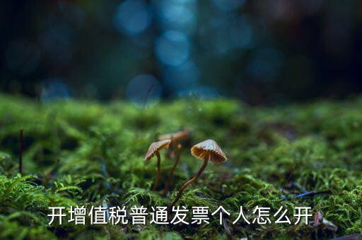 普票如何開給個人，增值稅普通發(fā)票開個人需要什么資料