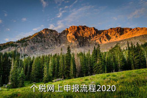 個稅網(wǎng)上申報流程2020