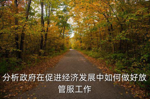 如何做好國稅系統(tǒng)的放管服工作，分析政府在促進(jìn)經(jīng)濟(jì)發(fā)展中如何做好放管服工作