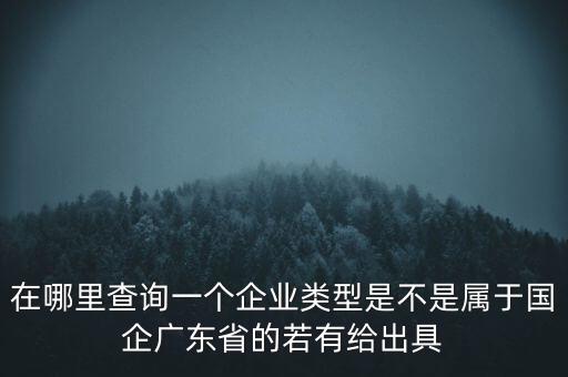 在哪里查詢一個企業(yè)類型是不是屬于國企廣東省的若有給出具