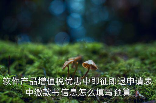 即征即退的退稅申請表如何填寫，軟件產(chǎn)品增值稅優(yōu)惠中即征即退申請表中繳款書信息怎么填寫預(yù)算