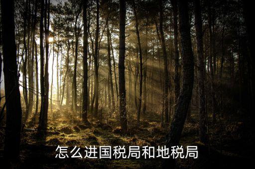 山西國稅系統(tǒng)如何進入地稅，怎么進國稅局和地稅局