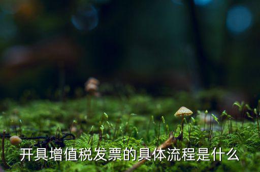 開具增值稅發(fā)票的具體流程是什么