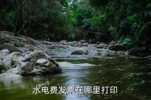 水電費(fèi)發(fā)票在哪里打印