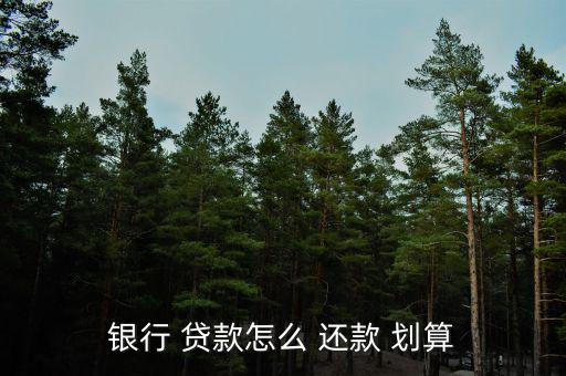 貸款怎么還款劃算,法國(guó)房貸利息分?jǐn)偟矫總€(gè)月還款方式有三種