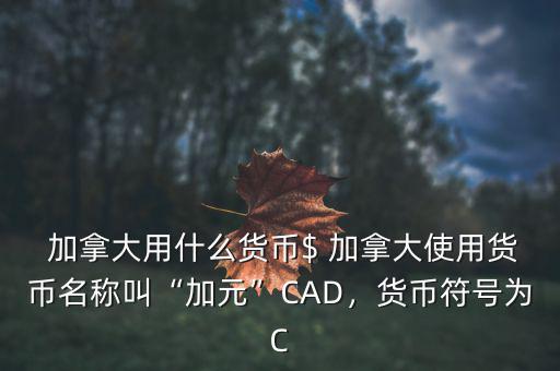  加拿大用什么貨幣$ 加拿大使用貨幣名稱叫“加元”CAD，貨幣符號為C