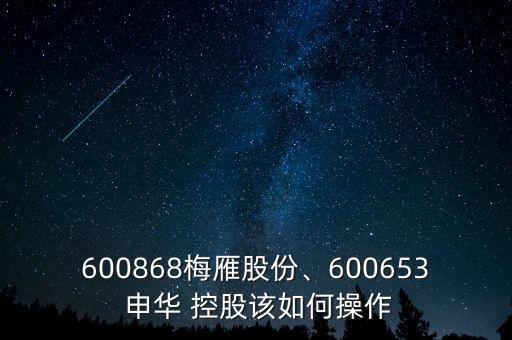 600868梅雁股份、600653 申華 控股該如何操作