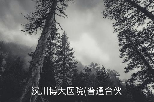 郭震洲怎么樣,漢川博大醫(yī)院前身是未來健康科技公司