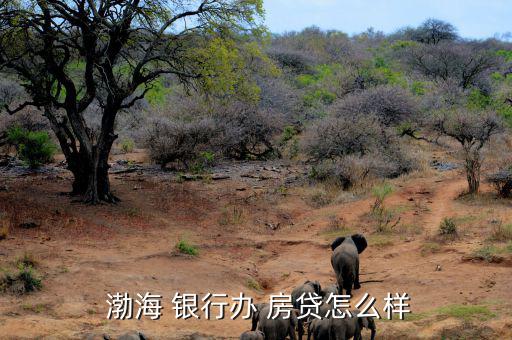  渤海 銀行辦 房貸怎么樣