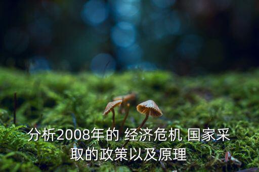 分析2008年的 經(jīng)濟(jì)危機(jī) 國(guó)家采取的政策以及原理