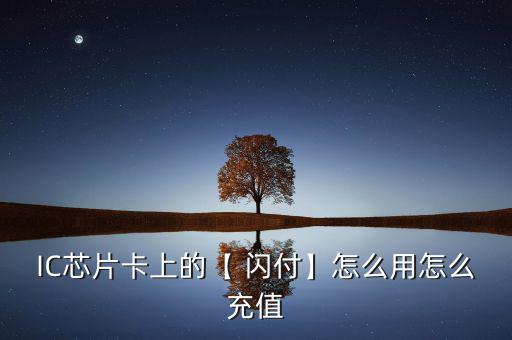 閃付卡怎么充錢,登錄電子錢包向金融通支付網關發(fā)送支付指令