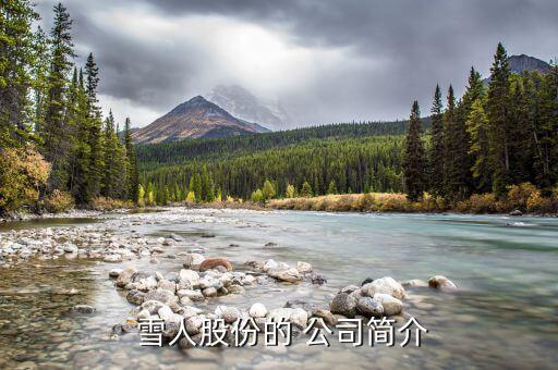  雪人股份的 公司簡(jiǎn)介