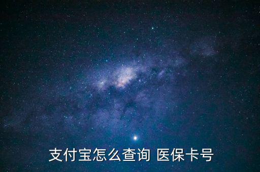  支付寶怎么查詢 醫(yī)?？ㄌ?hào)