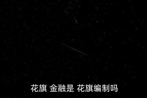  花旗 金融是 花旗編制嗎