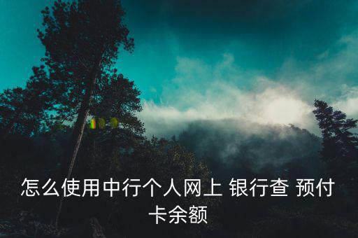 怎么使用中行個人網(wǎng)上 銀行查 預(yù)付卡余額