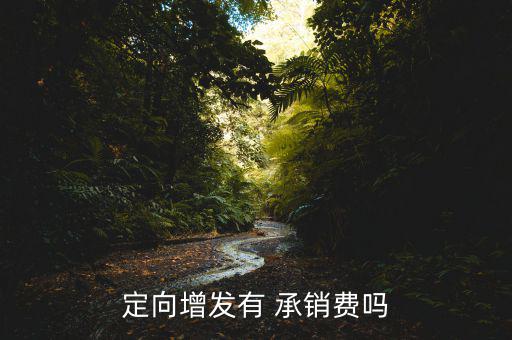 定向增發(fā)有 承銷費嗎