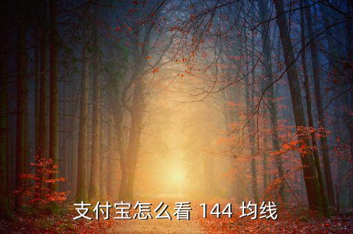 支付寶怎么看 144 均線