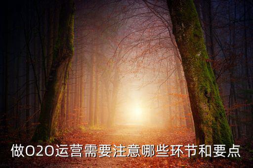 做O2O運(yùn)營需要注意哪些環(huán)節(jié)和要點(diǎn)