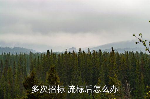 多次招標(biāo) 流標(biāo)后怎么辦