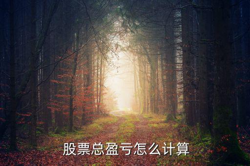 股票賺賠怎么算,股票總盈虧法:交易軟件可統(tǒng)計出總的轉入資金