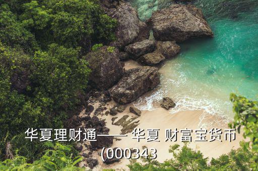  華夏理財(cái)通—— 華夏 財(cái)富寶貨幣(000343