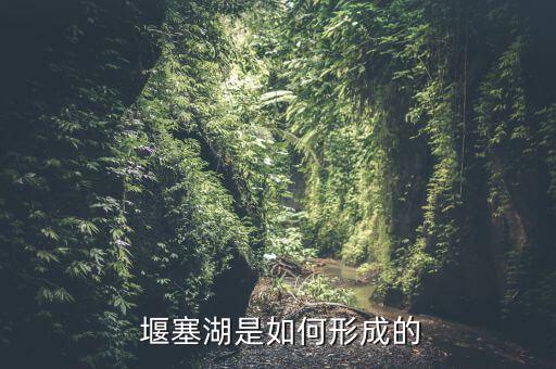 堰塞湖是怎么形成的,汶川地震災(zāi)區(qū)形成的堰塞湖有什么后果?