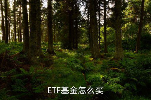 etf怎么申購,etf開通第一天投資者可開戶申購和贖回